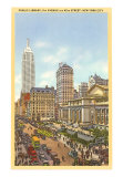 Public Library, New York City Poster