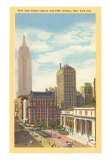 Public Library, New York City Poster