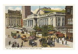Public Library, New York City Poster