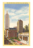 Public Library, New York City Poster