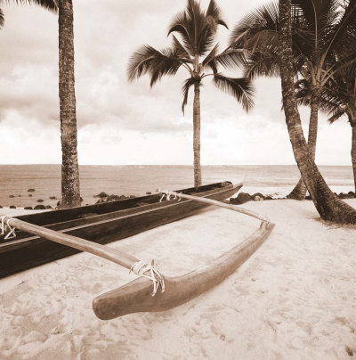 Paradise Found IV Art Print