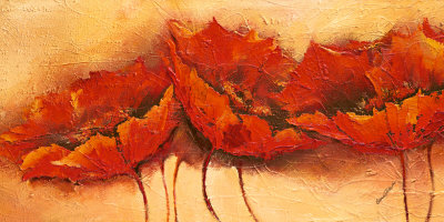  FLORES Y LETRAS PARA DECOUPAGE