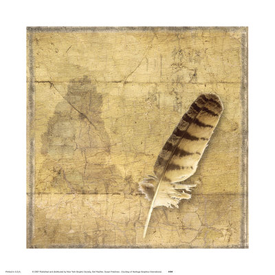 Owl Feather Art Print
