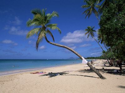 Les Salines Beach, Near Sainte Anne, Martinique, Lesser Antilles Fotografie-Druck