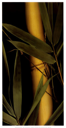 Golden I Art Print