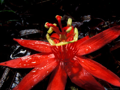 ������� ������