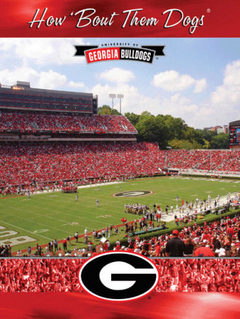 Sanford Stadium Poster