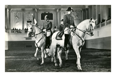 Spanish Riding School Masterprint
