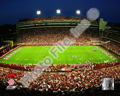 Razorback Stadium Poster - Click to Buy!