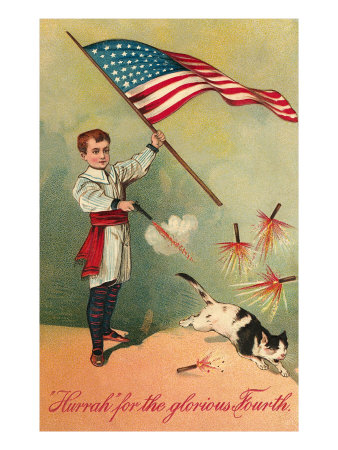 Patriotic Boy Shooting Cat Giclee Print