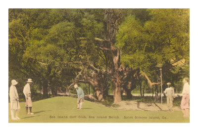 Golf Course, St. Simons Island, Georgia Masterprint