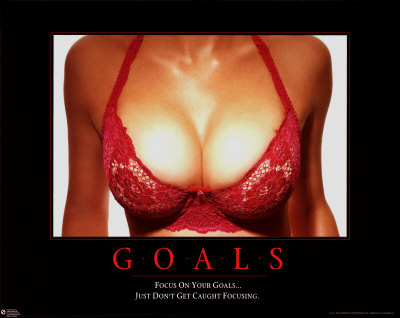 Goals Mini Poster