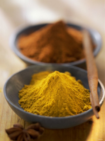 Turmeric and Curry Photographic Print