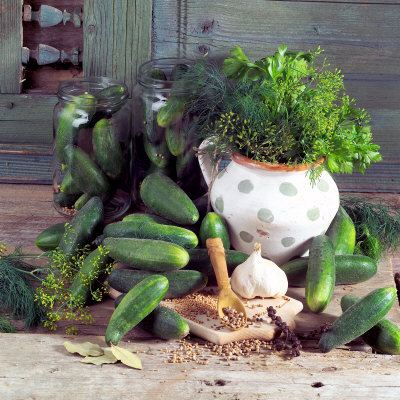 Still Life with Pickled Gherkins & Pickling Ingredients Photographic Print