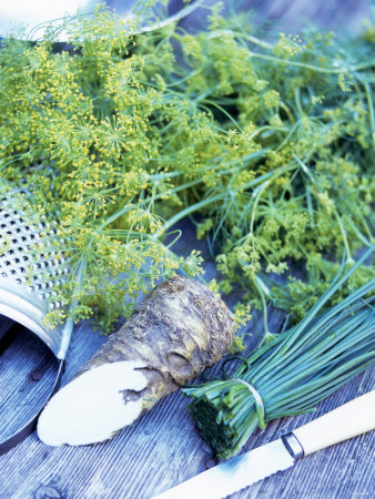 Dill, Horseradish and Chives