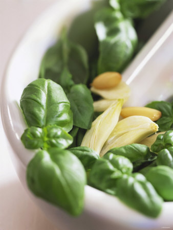 Basil, Garlic and Pine Nuts (Ingredients for Pesto) Photographic Print