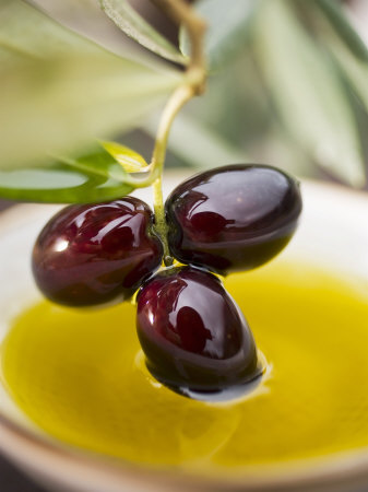 Dipping Olive Sprig with Black Olives in Olive Oil Photographic Print