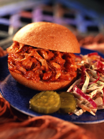 Barbeque Sandwich with Coleslaw Photographic Print