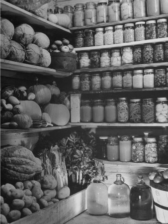 Winter Crops Being Stored in Cellar with Low Humidity So Vegetables Can Be Kept Without Rotting Photographic Print