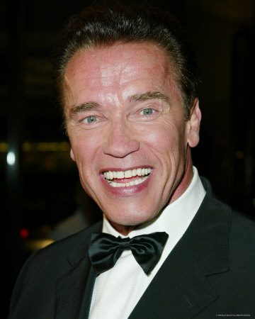 Arnold Schwarzenegger. arnold schwarzenegger