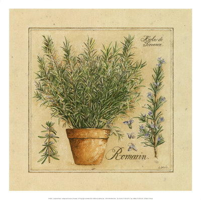 Herbes de Provence, Romarin