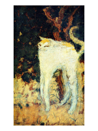 Bonnard Cat