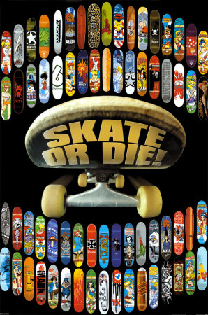 Skate or Die Photo at