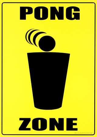 pong-zone.jpg