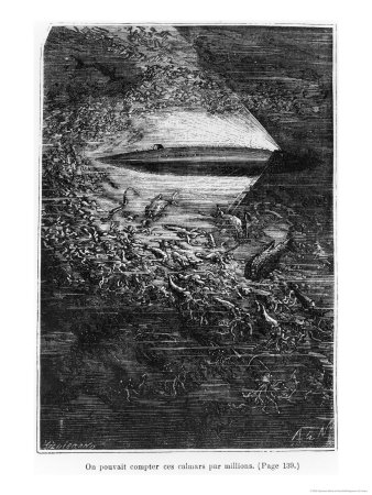 Los ilustradores del siglo XIX Neuville-alphonse-marie-de-illustration-from-20-000-leagues-under-the-sea