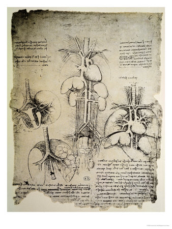 The Heart and the Circulation, Facsimile of the Windsor Book Giclee Print by  Leonardo da Vinci