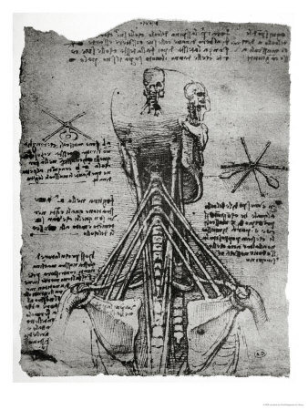 leonardo da vinci drawings. Print by Leonardo da Vinci