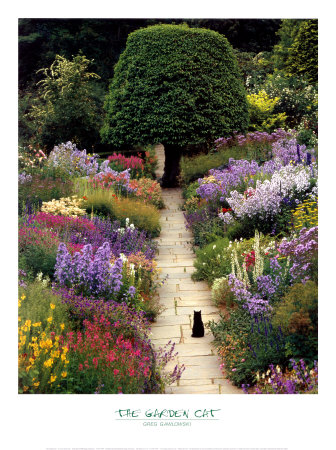 The Garden Cat Print by Greg Gawlowski at AllPosters.com