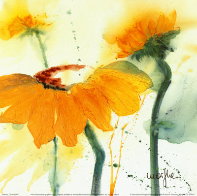 Sunflower V Art Print