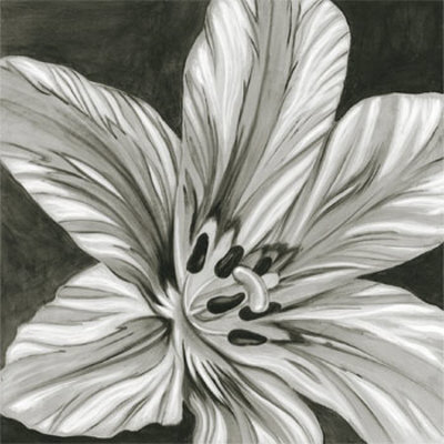 black and white flowers. Black and White Flower Art