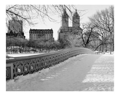 central park new york sign. central park new york sign.