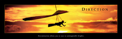 Direction: Hang Glider Posters