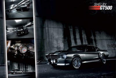 Ford Shelby GT500 Photos