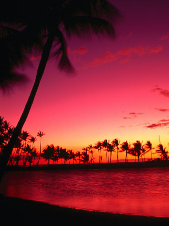 hawaii beaches at sunset. Sunset at Anaehoomalu Beach,