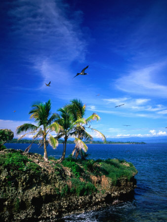 cala luna bocas del toro