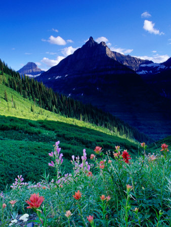 glacier national park montana. Glacier National Park,