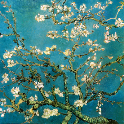 Almond Branches in Bloom, San Remy, c.1890  Art by Vincent van Gogh - AllPosters.co.uk