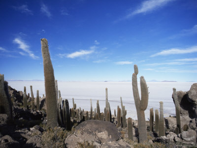 Bolivian Salt Flats. Uyuni Salt Flats, Bolivia,