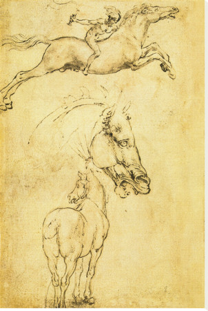 horse pictures to print. Sketch of a Horse Stretched
