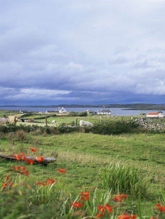 Ulster Landscape