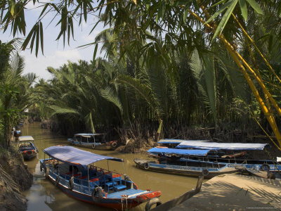 Navigating on Navigating The Waterways Amid Coconut Palm Trees  Tortoise Island