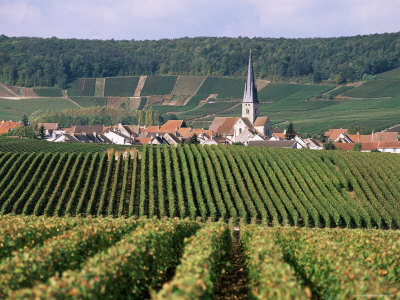 Champagne Rheims Champagne Reims