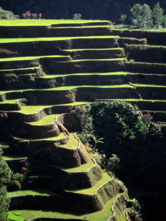 luzon