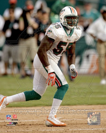 Miami Dolphins - Joey Porter Photo Photo