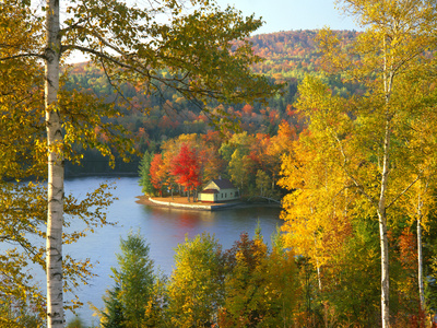 wyman lake