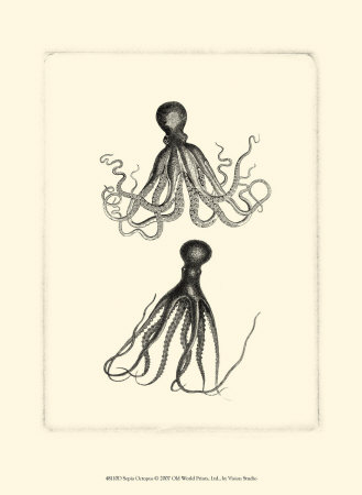 Octopus Poster